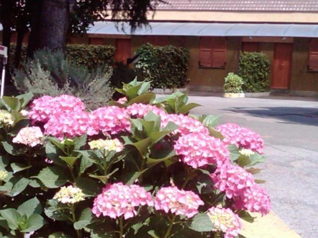 Hotel Motel Ovest Vittuone Екстер'єр фото